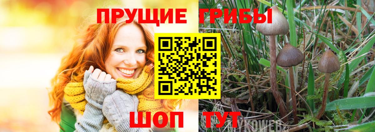 Мегион  хочу   Вход с VPN  Галлюциногенные грибы прущие грибы 