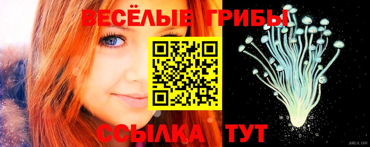 Галлюциногенные грибы Magic Shrooms Мегион